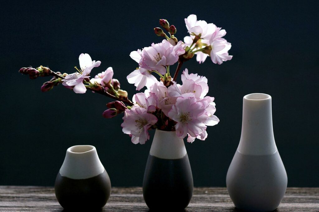 Vasen minimalistisch kunstvoll dekoriert Kischblütenzweige Kreative Dekoideen mit Vasen