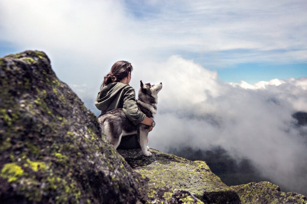 Mit Husky beim Wandern Krafttier Husky – Spirituelle Bedeutung des treuen Weggefährten