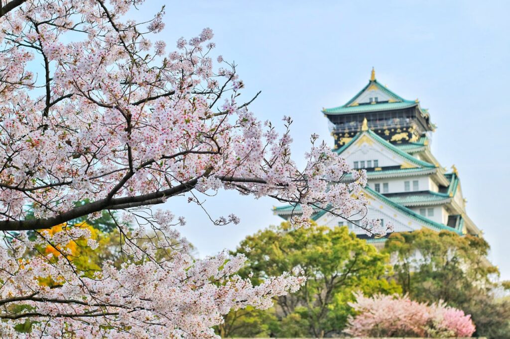 japanisch Tempel Kirschblüte Einrichtungsstil Japandi – Minimalismus trifft Gemütlichkeit